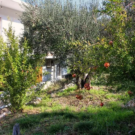 Apartments With Parking Space Arbanija, Ciovo - 5228